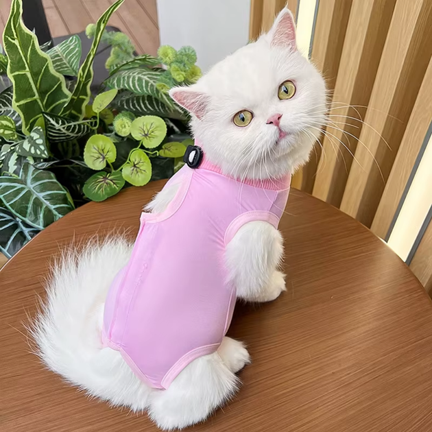 Одежда для кошек после операции Holley Pink M від продавця: LUPO Friend ...