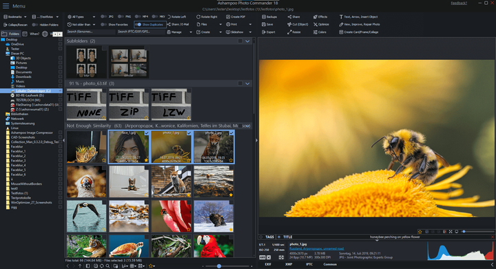Універсальний перегляд і редагування фото, Ashampoo Photo Commander 18, безтермінова ліцензія, 1 ПК - изображение 4