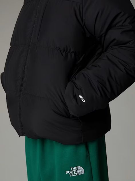 Дитяча зимова пухова куртка для хлопчика The North Face
