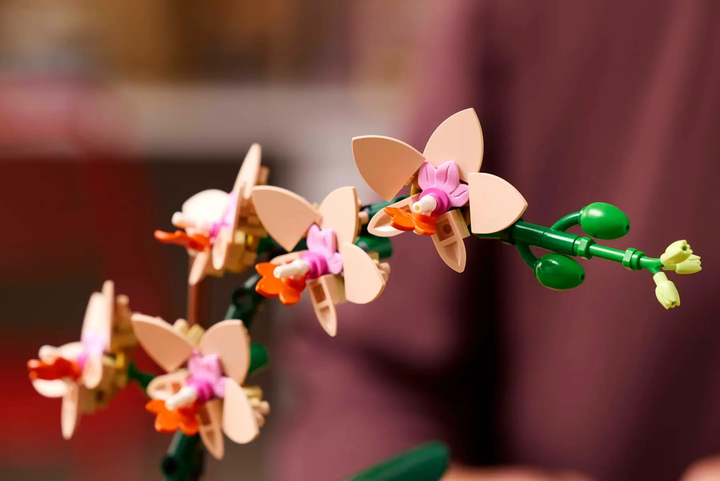 Zestaw klocków LEGO Botanicals Mała orchidea 274 elementy (10343) - obraz 7