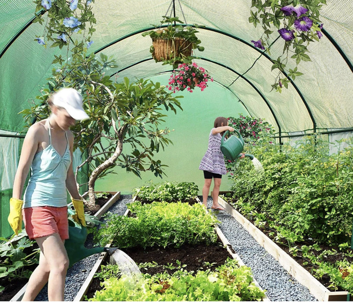 Теплиця садова Holla Garden 6 м2 300х200х200 см (P0021-7) - Фото 5 Теплиця садова Holla Garden 6 м2 300х200х200 см (P0021-7) - зображення 5