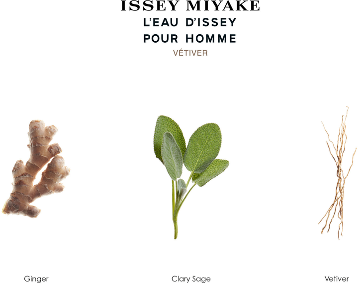 Набір для чоловіків Issey Miyake L'eau D'issey Pour Homme Vetiver Туалетна вода 50 мл + Гель для душу 2 х 50 мл (3423222092818) - зображення 3