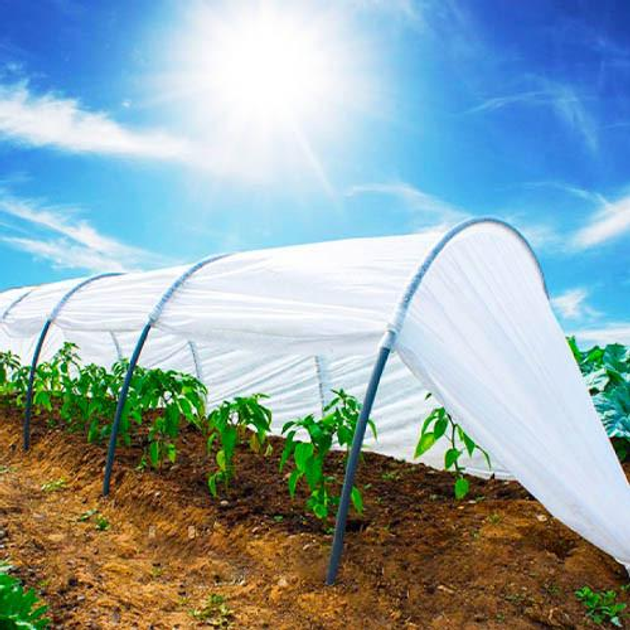 Парник 3м, 42 г/м² Love&Home Щедрий урожай (2PR4203) – фото, відгуки ...