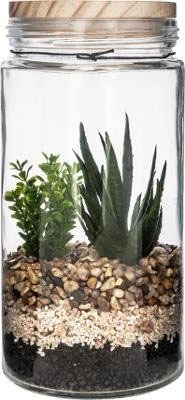 Ліс у склі Atmosphera з сукулентами 11 х 22 см (3560239688884) - зображення 3