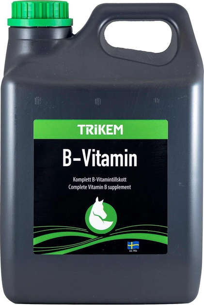 Suplement diety Trikem B-Vitamin 5 L (7394244102457) - obraz 1