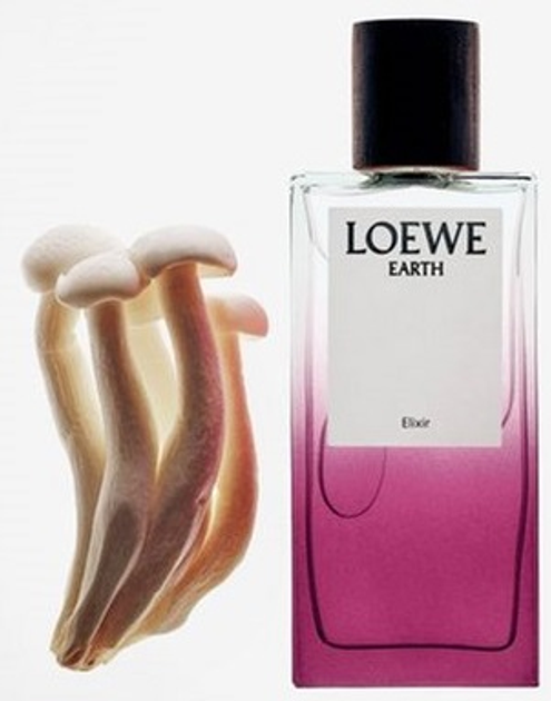 Woda perfumowana unisex Loewe Earth Elixir 50 ml (8426017080675) - obraz 4
