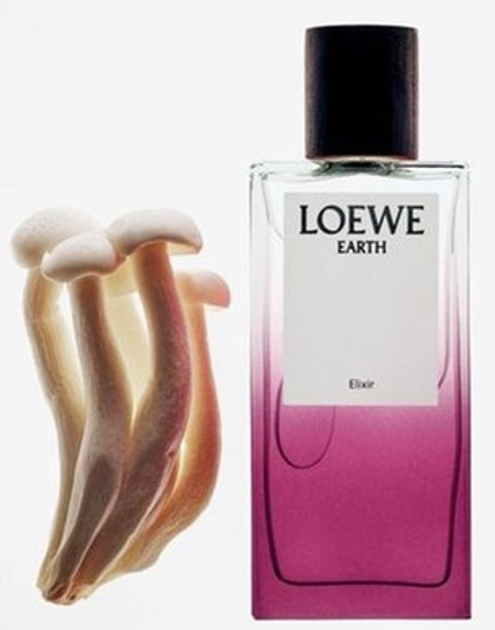 Парфумована вода унісекс Loewe Earth Elixir 100 мл (8426017080651) - зображення 4