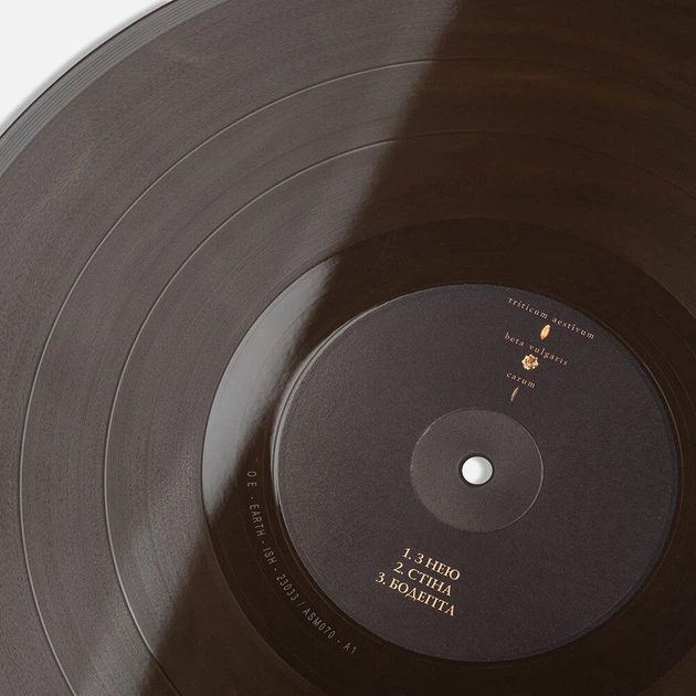 Вінілова платівка Океан Ельзи - Земля (Colored Vinyl) [2LP] – фото