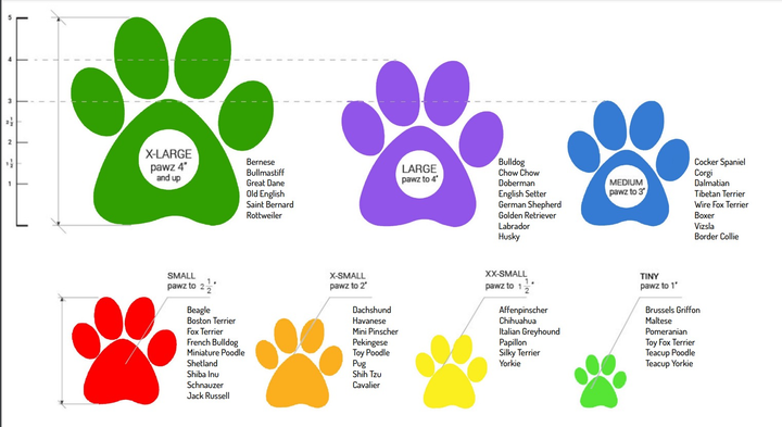Набір взуття для собак Pawz Dog Shoes Чорне M 10.2 см 12 шт (ZES0897515001185) - зображення 3