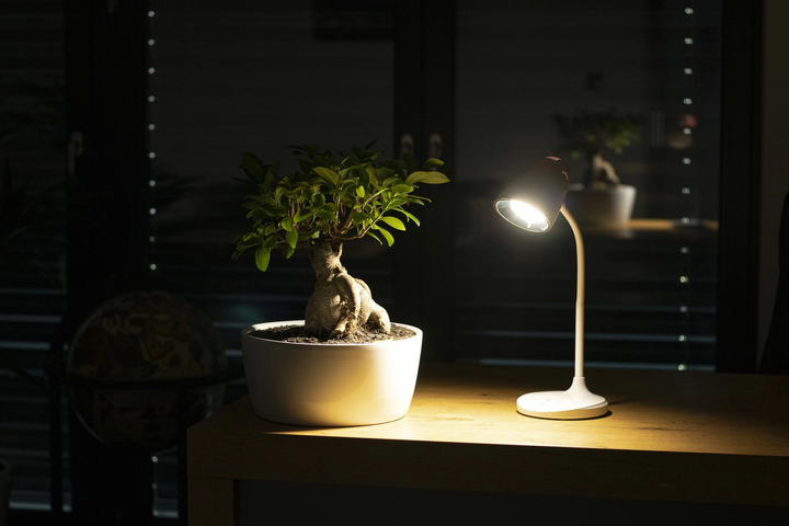 Lampa biurkowa Montis MT044 (OSWMNSLAN0001) - obraz 6