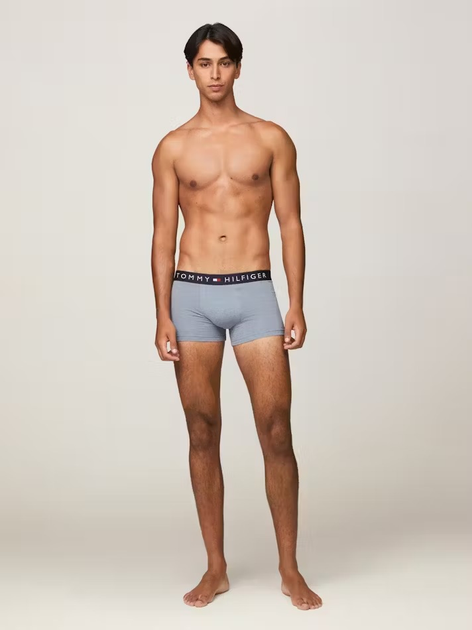 Zestaw majtek męskich typu bokserki Tommy Hilfiger UM0UM03399-0XR M 3 szt Niebieski (8720637188408) - obraz 6