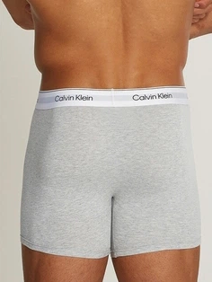 Набір трусів-боксерів чоловічих Calvin Klein Underwear 000NB3964A-MP1 XL 3 шт Сірий/Білий/Чорний (8720639723362) - зображення 3