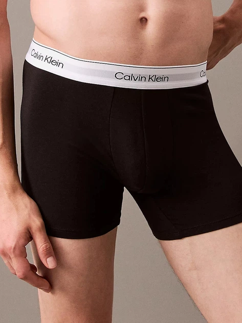 Набір трусів-боксерів чоловічих Calvin Klein Underwear 000NB3964A-MP1 2XL 3 шт Сірий/Білий/Чорний (8720639723386) - зображення 4