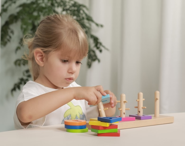 Пазли дерев'яні Viga Maze Геометричні фігури Montessori 50968 12 елементів (6934510509682) - зображення 6