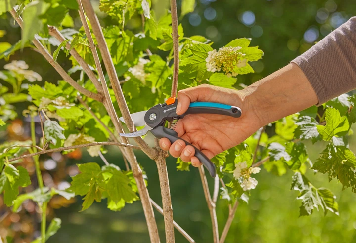 Sekator Gardena PremiumCut Fresh Wood 22 mm (12241-20.000.00) - obraz 8