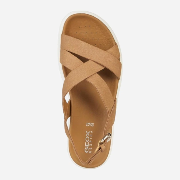 Sandały damskie Geox D15PAD00033-C6001 36 23.4 cm Brązowe (8050036024619) - obraz 3