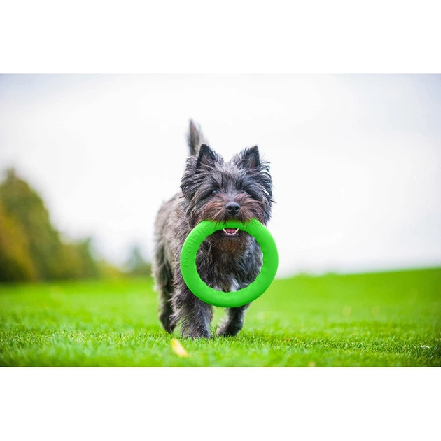 Игрушка-кольцо для собак Collar PitchDog 30 - Фото 3 Игрушка-кольцо для собак Collar PitchDog 30 - изображение 3