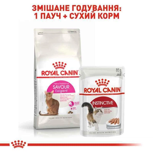 Сухий корм Royal Canin Savour Exigent (Fussy) - для котів, вибагливих до смаку корму, 4 кг (2531040) - Фото 3 Сухий корм Royal Canin Savour Exigent (Fussy) - для котів, вибагливих до смаку корму, 4 кг (2531040) - зображення 3
