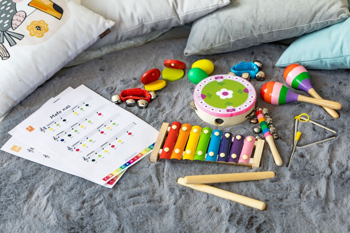 Набір музичних інструментів EcoToys MK0700301 14 предметів з сумкою (5903089068655) - зображення 5