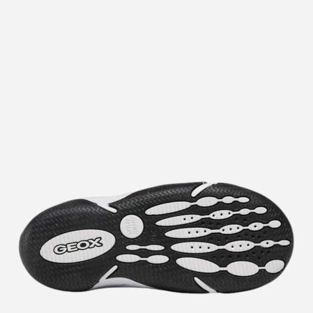 Дитячі кросівки для хлопчика Geox J3530A01450-C4380 31 Сині (8056206086692) - зображення 6
