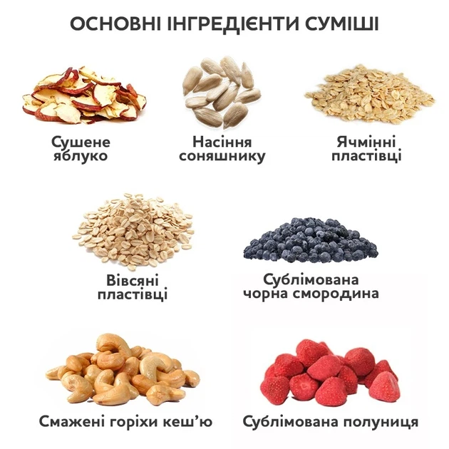 Мюслі з сублімованою полуницею та чорною смородиною One Day More Immunity, 400 г - изображение 3