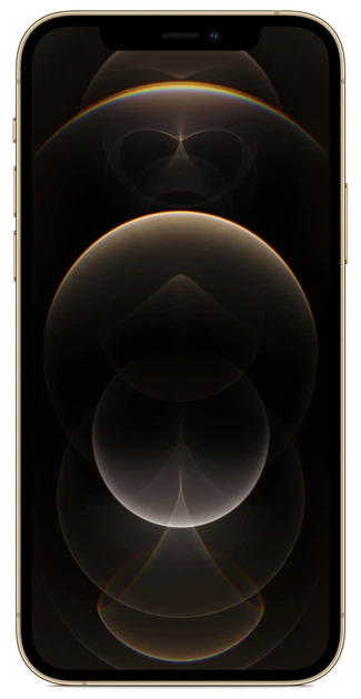 iPhone 12pro 256GB ゴールド Apple iPhone 12 Pro 256GB Gold (MGMR3/MGLV3) купить в