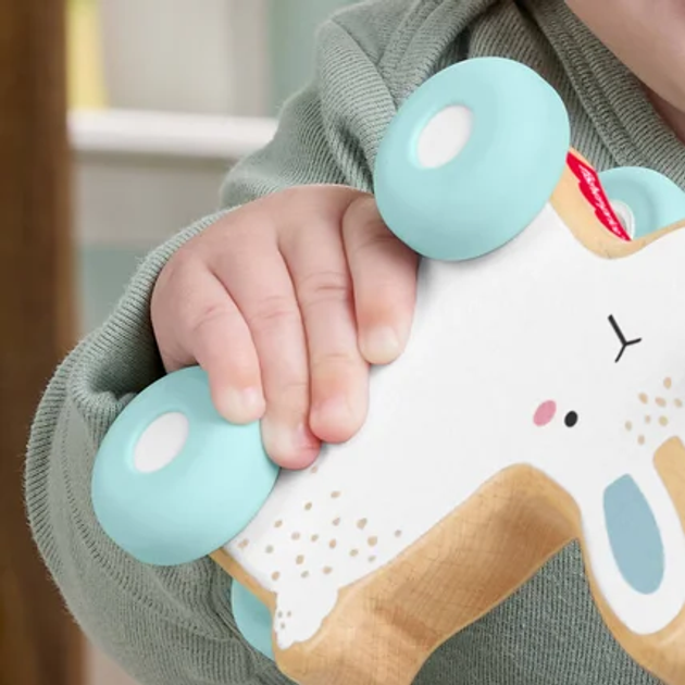 Zabawka Fisher-Price Królik do pchania JDM52 (0194735287857) - obraz 3