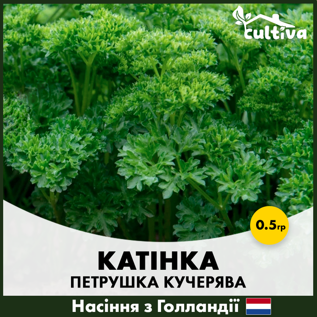Кучерява петрушка Enza Zaden Катінка, 0.5 гр - зображення 2
