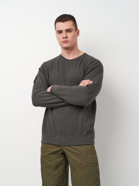 Світшот чоловічий Fruit of the loom 0621380GL L Темно-сірий від Rozetka на платформі USKIDKA Акція на Світшот чоловічий Fruit of the loom 0621380GL L Темно-сірий від Rozetka