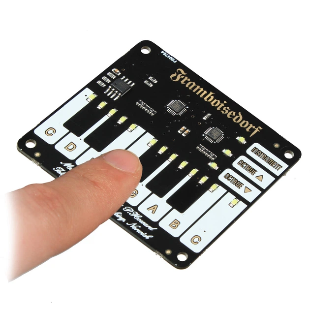 Сенсорное пианино Pimoroni Piano HAT - Фото 4 Сенсорное пианино Pimoroni Piano HAT - изображение 4