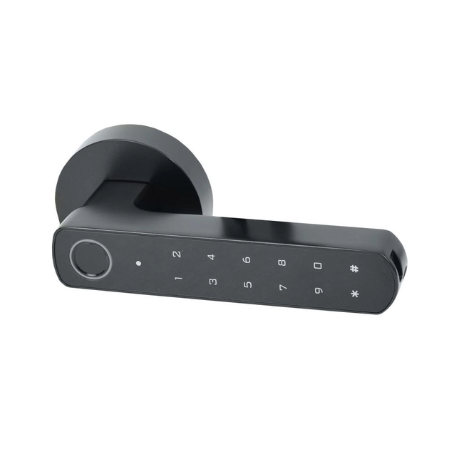 Розумний дверний біометричний замок Atis Lock BT-100-T Black - зображення 2