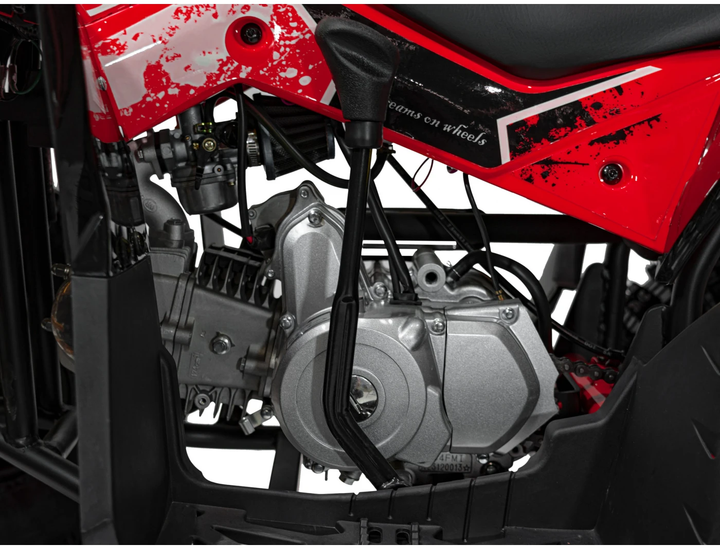 Квадроцикл Quad Ramiz бензиновий Renegade Hiperfect125CC Червоний (5903864941630) - зображення 9
