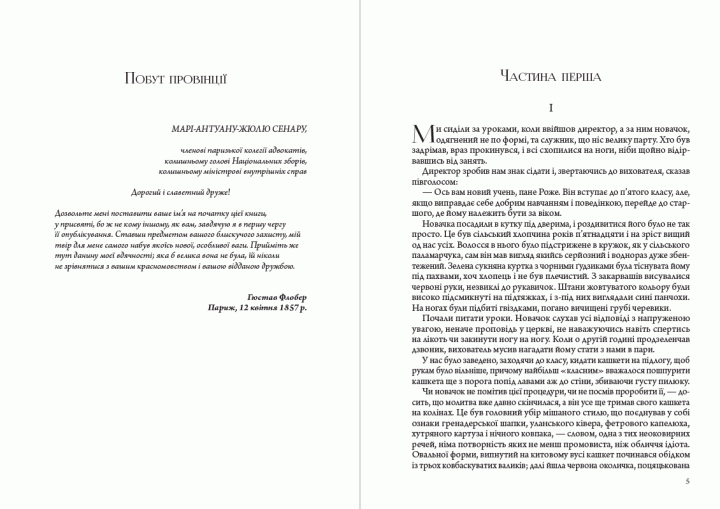 Книга Пані Боварі. Автор - Гюстав Флобер (Андронум) (2021) - изображение 3