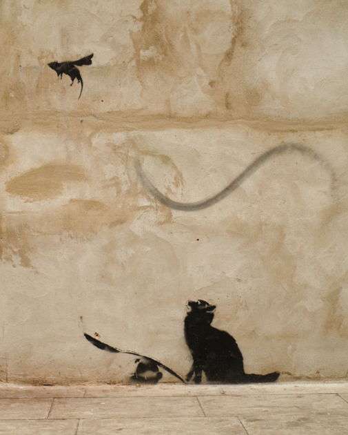 Книга Banksy: Ви становите загрозу прийнятного рівня (ArtHuss) - изображение 4
