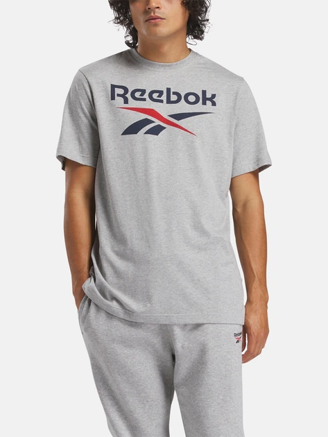 Футболка бавовняна довга чоловіча Reebok Identity Big Logo Tee ...