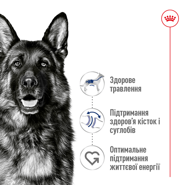 Корм для дорослих собак великих порід ROYAL CANIN MAXI ADULT 15,0 кг (30071500) - Фото 2 Корм для дорослих собак великих порід ROYAL CANIN MAXI ADULT 15,0 кг (30071500) - изображение 2