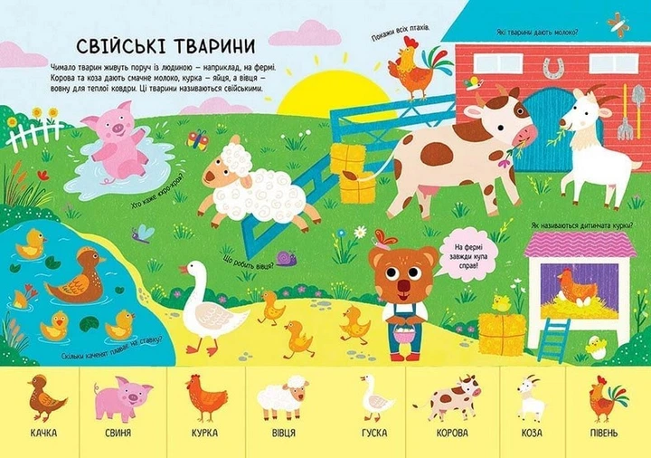 Головна книга малюка. Книга найважливіших знань - Фото 5 Головна книга малюка. Книга найважливіших знань - зображення 5