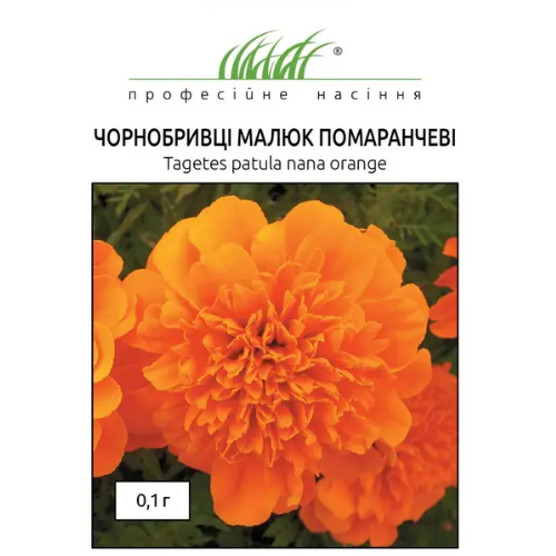 Чорнобривці Малюк розлогі помаранч 0,1гр Професійне насіння - Фото 1 Чорнобривці Малюк розлогі помаранч 0,1гр Професійне насіння - зображення 1