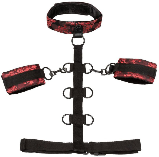 Нашийник з манжетами Scandal Collar Body Restraint (17055000000000000) - зображення 1