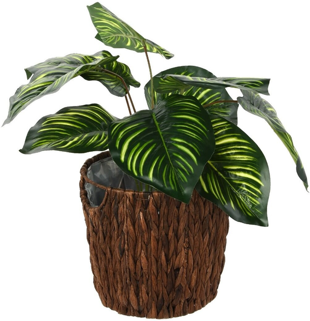 Donica ogrodowa OTE Ginger M (OTE-KOSZ-GINGER-M) - obraz 5