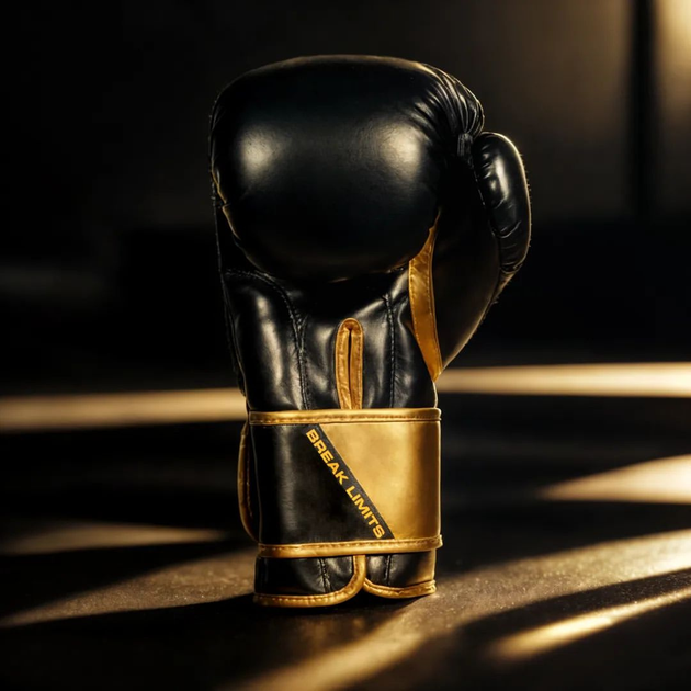 Rękawice bokserskie Bushido B-2v10 rozmiar 12 oz Black/Gold (5902539015911) - obraz 15
