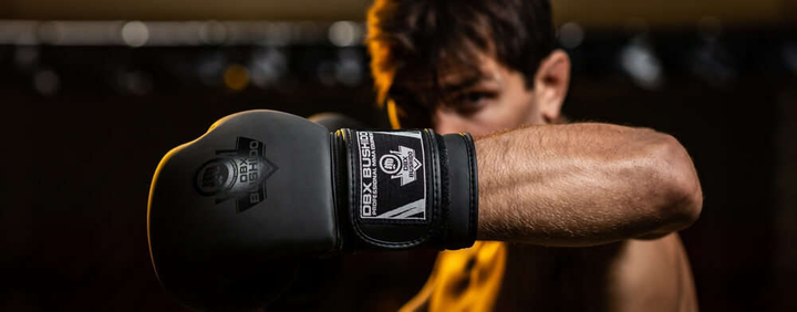 Rękawice bokserskie Bushido B-2v12 rozmiar 12 oz Black (5902539018134) - obraz 10