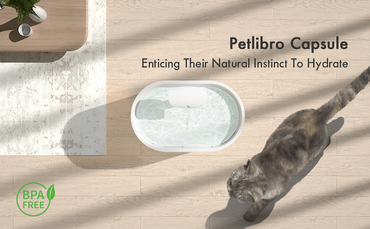 Поїлка для котів Petlibro Капсульний фонтан Blue (PL-WF002-93W) (0619988626708) - зображення 6