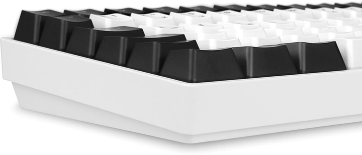 Klawiatura przewodowa Sharkoon Skiller SGK50 S3 Gateron Yellow USB White (4044951039692) - obraz 3