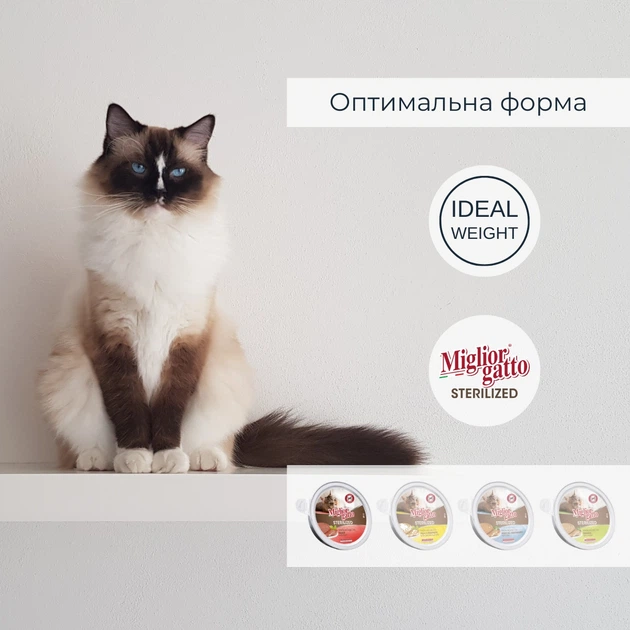 Упаковка беззерновых консервов для стерилизованных кошек Morando Migliorgatto Sterilized мусс с телятиной 85 г x 4 шт (8007520414618) - изображение 4