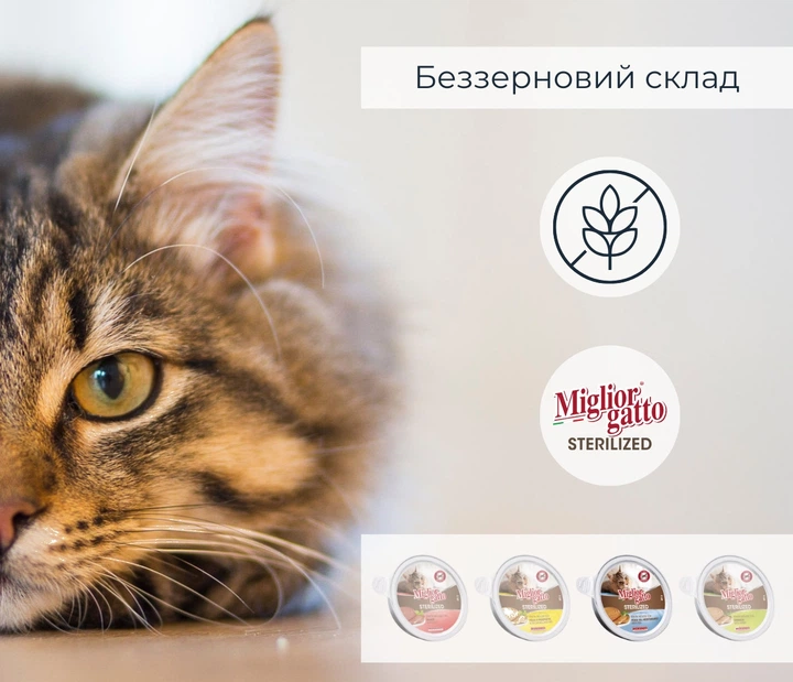 Упаковка беззернових консерв для стерилізованих котів Morando Migliorgatto Sterilized мус зі середземноморською рибою 85 г x 4 шт (8007520414625) - Фото 5 Упаковка беззернових консерв для стерилізованих котів Morando Migliorgatto Sterilized мус зі середземноморською рибою 85 г x 4 шт (8007520414625) - зображення 5