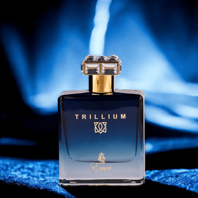 Woda perfumowana męska Emir Trillium 100 ml (6246717622201) - obraz 3