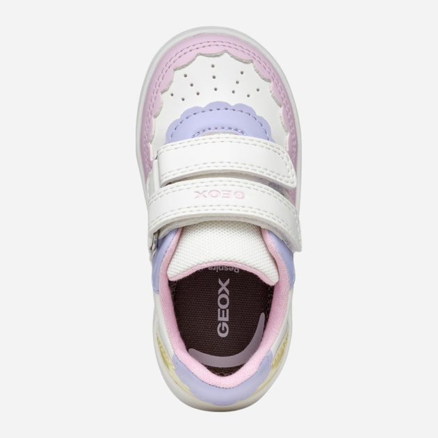 Sneakersy dziecięce dla dziewczynki na rzepy Geox B Eclyper Girl B555MA000BC-C1372 25 Wielobarwne (8058192192326) - obraz 8