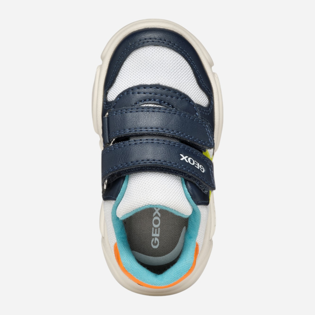 Sneakersy chłopięce na rzepy Geox B Ciufciuf Boy B555RA01454-C0899 27 Wielobarwne (8058192185151) - obraz 8
