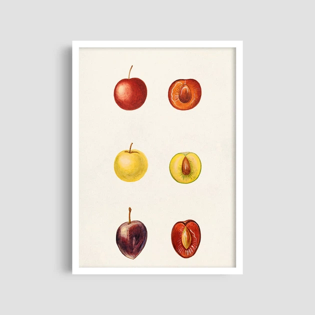 Постер Roomy "Apple Collection" Без рамки A3 (42x29.7 cm) - Фото 2 Постер Roomy "Apple Collection" Без рамки A3 (42x29.7 cm) - изображение 2